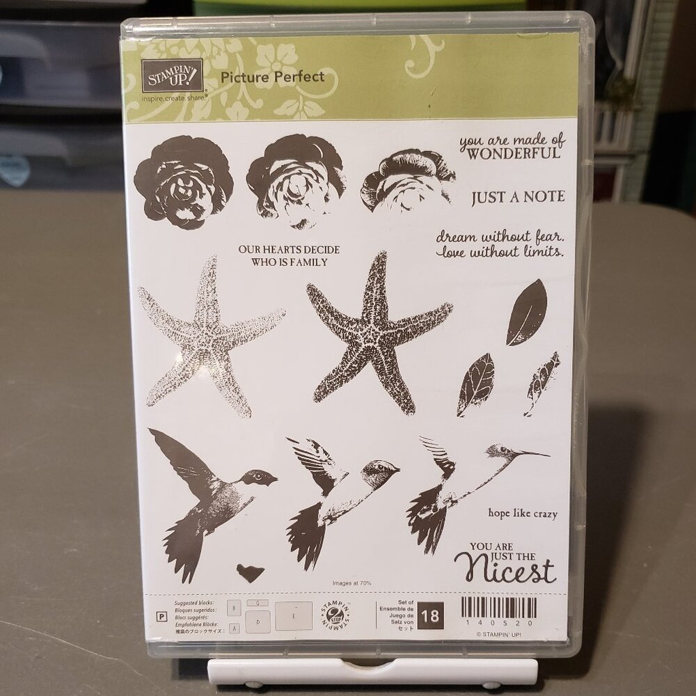 Stampin' Up! 'PICTURE PERFECT' Photopolymer Stamp Set (Used)